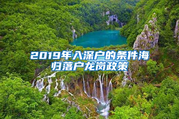 2019年入深户的条件海归落户龙岗政策