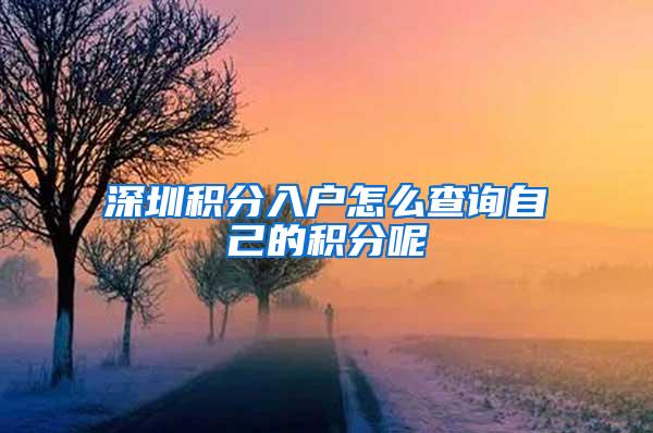 深圳积分入户怎么查询自己的积分呢