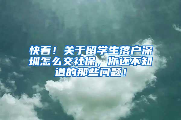快看！关于留学生落户深圳怎么交社保，你还不知道的那些问题！