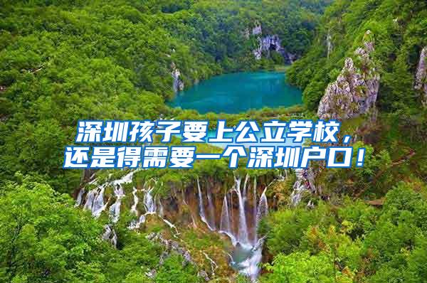 深圳孩子要上公立学校，还是得需要一个深圳户口！