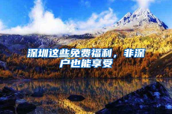 深圳这些免费福利，非深户也能享受