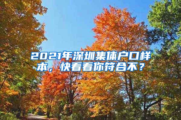2021年深圳集体户口样本，快看看你符合不？