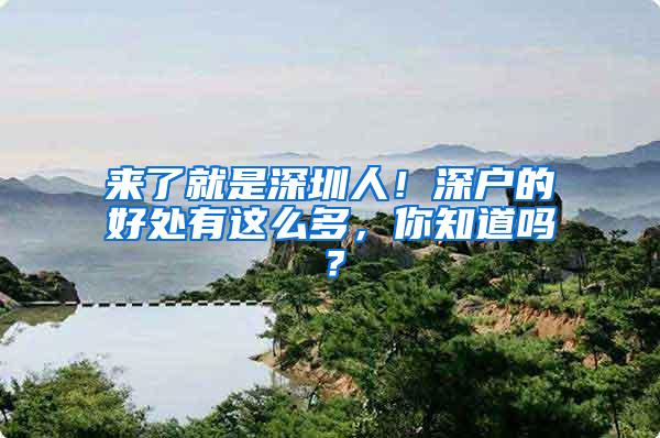 来了就是深圳人！深户的好处有这么多，你知道吗？