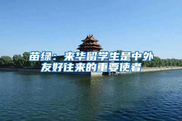 苗绿：来华留学生是中外友好往来的重要使者