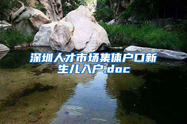 深圳人才市场集体户口新生儿入户.doc