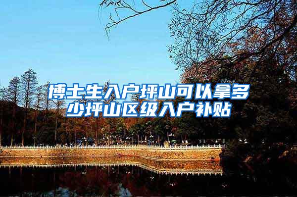 博士生入户坪山可以拿多少坪山区级入户补贴