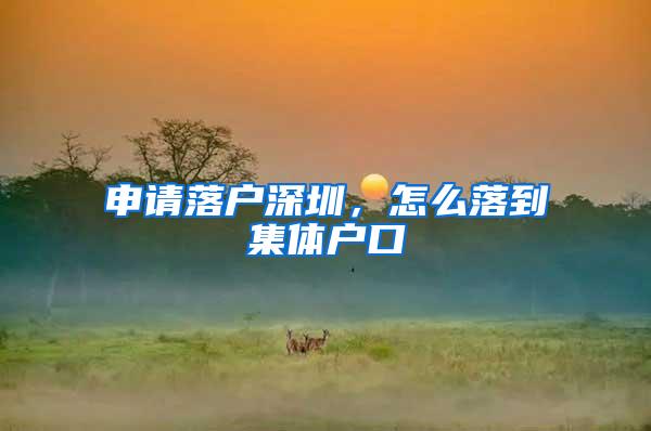 申请落户深圳，怎么落到集体户口