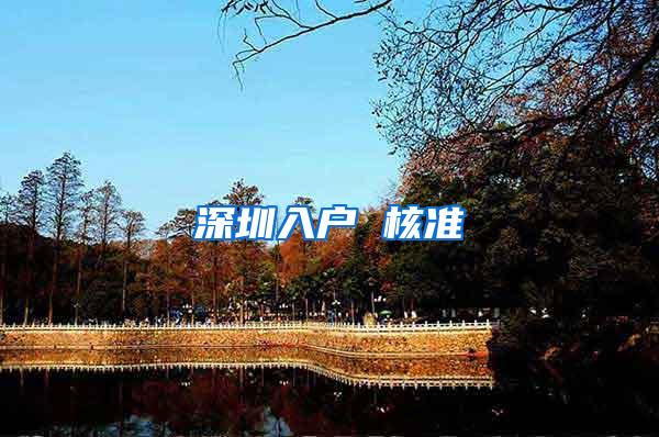 深圳入户 核准