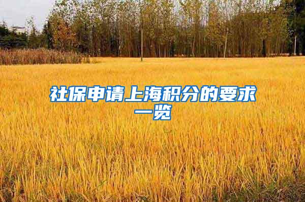 社保申请上海积分的要求一览