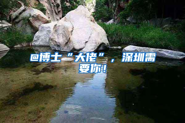 @博士“大佬”，深圳需要你！
