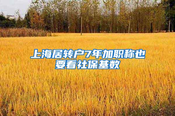 上海居转户7年加职称也要看社保基数