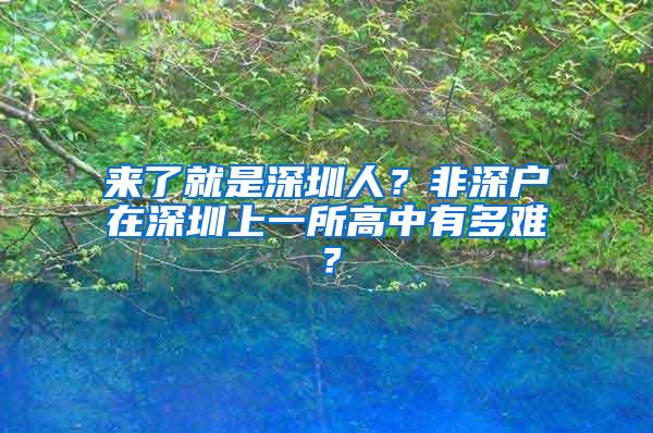 来了就是深圳人？非深户在深圳上一所高中有多难？