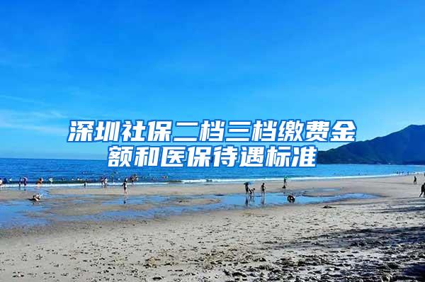 深圳社保二档三档缴费金额和医保待遇标准