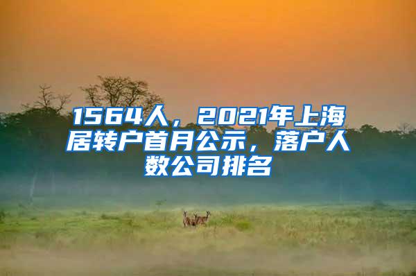 1564人，2021年上海居转户首月公示，落户人数公司排名