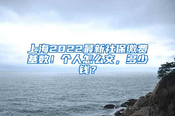 上海2022最新社保缴费基数！个人怎么交，多少钱？