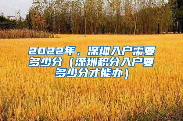 2022年，深圳入户需要多少分（深圳积分入户要多少分才能办）
