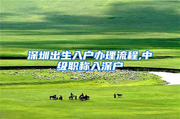 深圳出生入户办理流程,中级职称入深户
