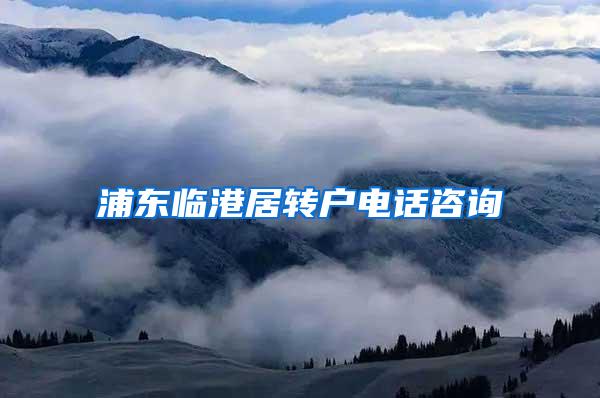 浦东临港居转户电话咨询