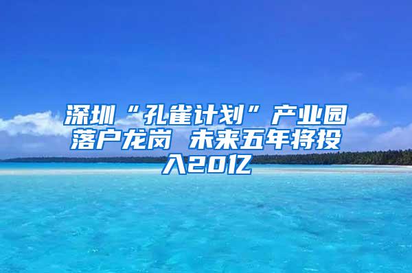 深圳“孔雀计划”产业园落户龙岗 未来五年将投入20亿