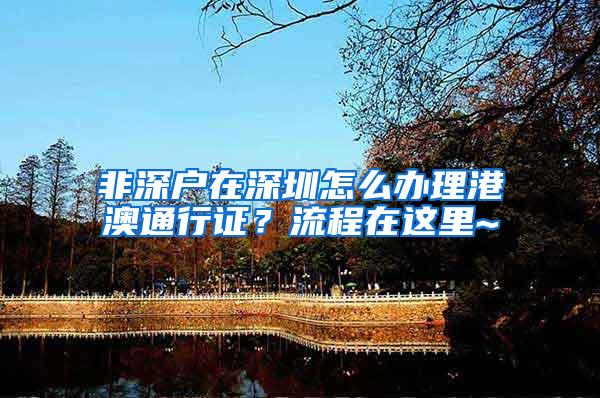 非深户在深圳怎么办理港澳通行证？流程在这里~