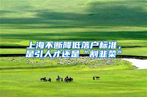 上海不断降低落户标准，是引人才还是“割韭菜”