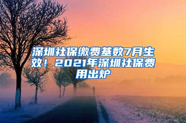 深圳社保缴费基数7月生效！2021年深圳社保费用出炉