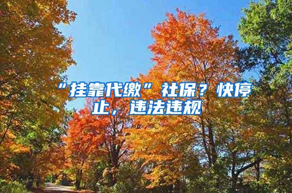 “挂靠代缴”社保？快停止，违法违规