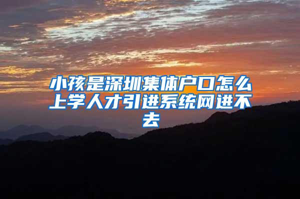小孩是深圳集体户口怎么上学人才引进系统网进不去