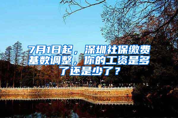 7月1日起，深圳社保缴费基数调整，你的工资是多了还是少了？