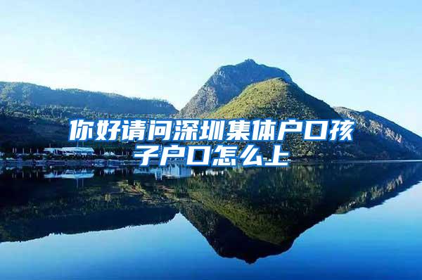 你好请问深圳集体户口孩子户口怎么上