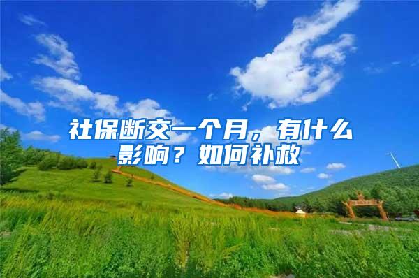 社保断交一个月，有什么影响？如何补救