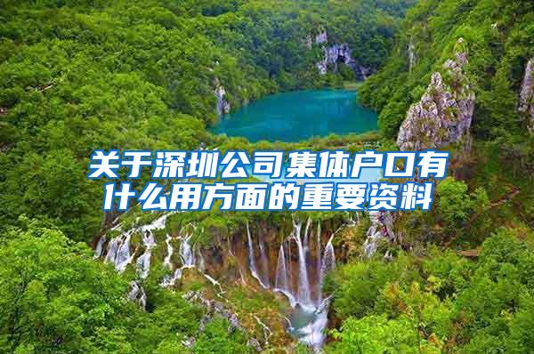 关于深圳公司集体户口有什么用方面的重要资料