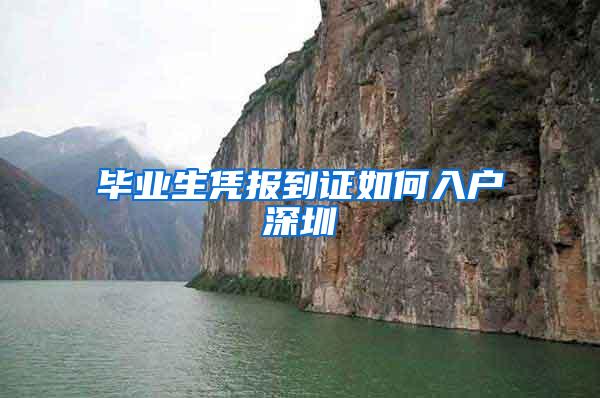 毕业生凭报到证如何入户深圳