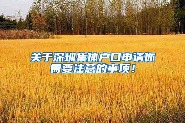 关于深圳集体户口申请你需要注意的事项！
