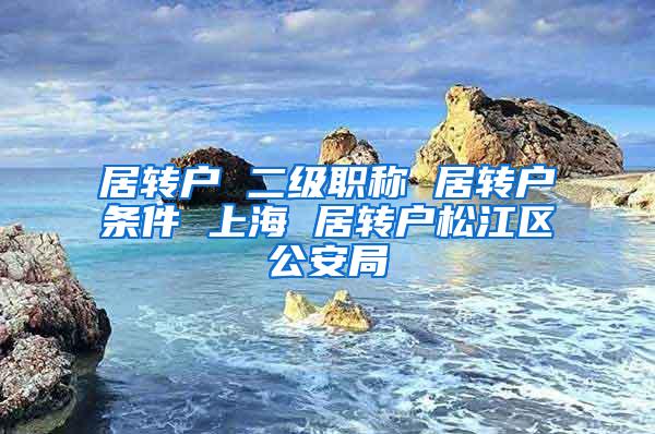 居转户 二级职称 居转户条件 上海 居转户松江区公安局