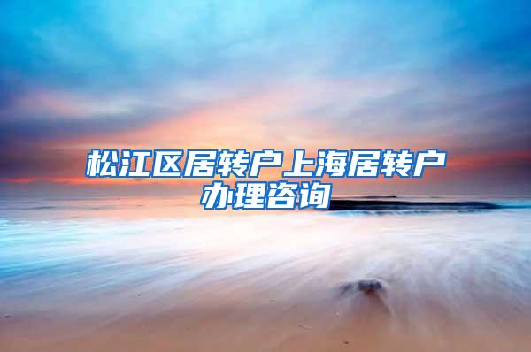 松江区居转户上海居转户办理咨询