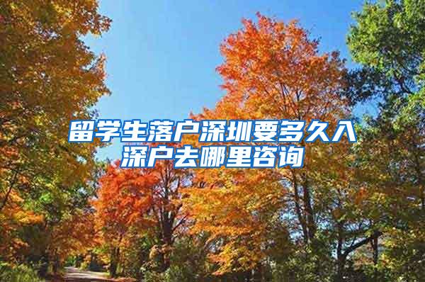 留学生落户深圳要多久入深户去哪里咨询