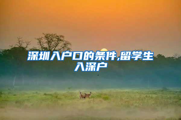 深圳入户口的条件,留学生入深户