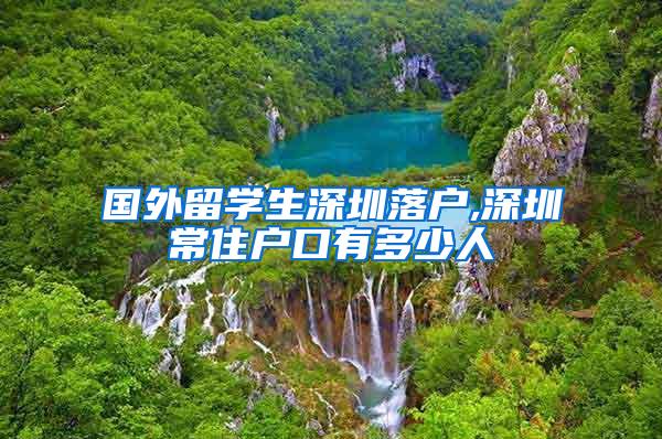 国外留学生深圳落户,深圳常住户口有多少人