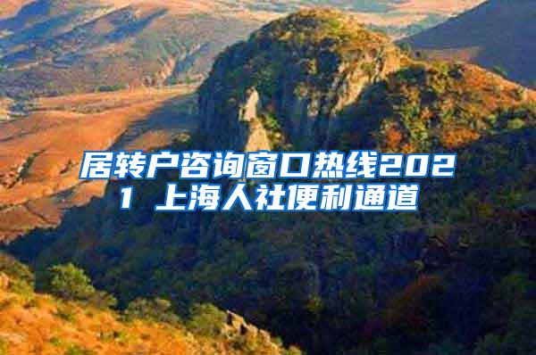 居转户咨询窗口热线2021 上海人社便利通道