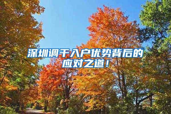 深圳调干入户优势背后的应对之道！