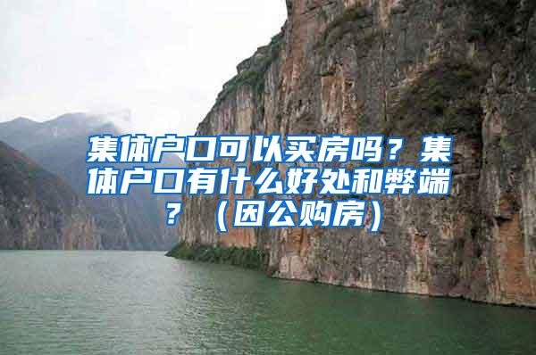 集体户口可以买房吗？集体户口有什么好处和弊端？（因公购房）