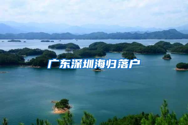广东深圳海归落户