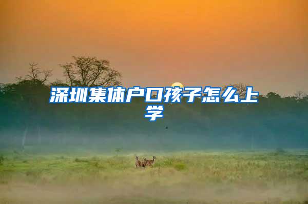 深圳集体户口孩子怎么上学