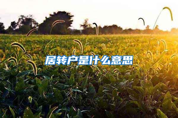 居转户是什么意思