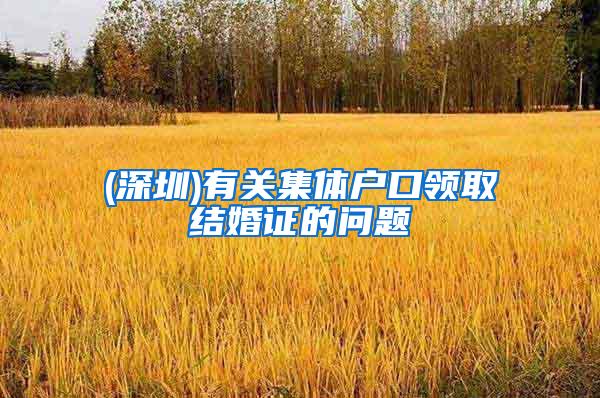 (深圳)有关集体户口领取结婚证的问题