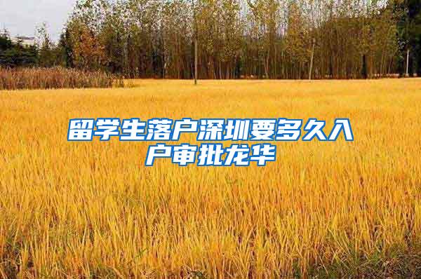 留学生落户深圳要多久入户审批龙华