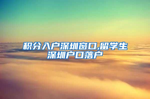 积分入户深圳窗口,留学生深圳户口落户