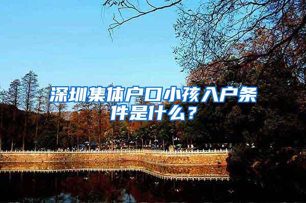 深圳集体户口小孩入户条件是什么？