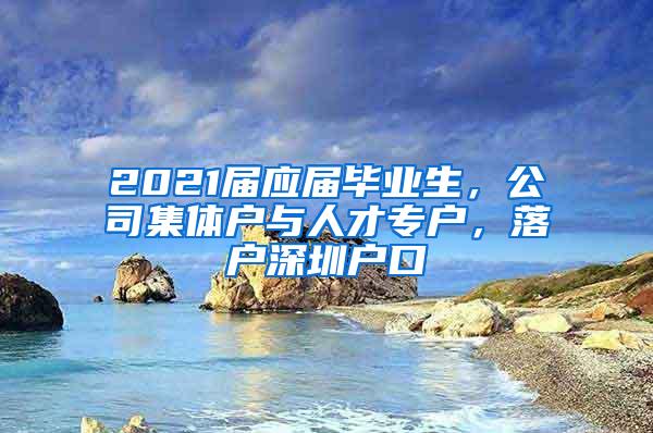 2021届应届毕业生，公司集体户与人才专户，落户深圳户口